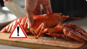 Rappel produit  ce homard et ces langoustines vendus chez Lidl et Leclerc sont contaminés, ne les consommer pas !